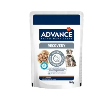 Affinity Advance Recovery wet food for dogs and cats 100gm PetMedicine.co