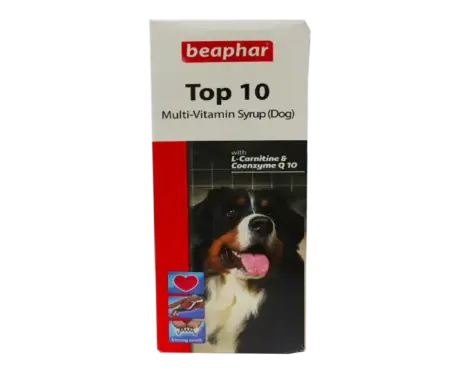 Beaphar TOP 10 Dog Multivitamin Syrup for Dogs 200ml – PetMedicine.co