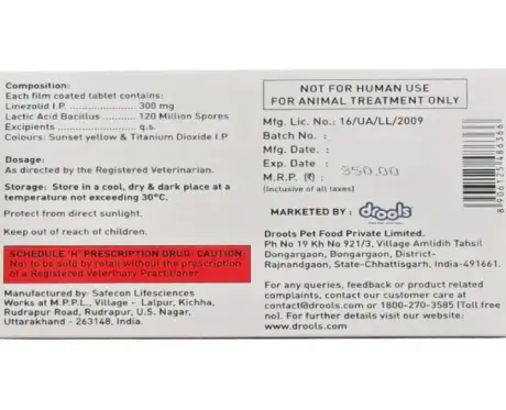 Immune Support Supplement Drools Bacblock L2 for Pets – PetMedicine.co