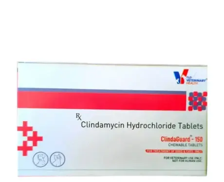 Drools Clindaguard Chewable Tablets for Dogs and Cats – PetMedicine.co