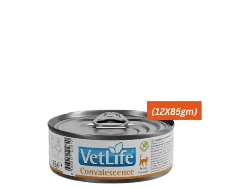 Farmina Vet Life Convalescence Cat Wet Food recovery diet PetMedicine.co
