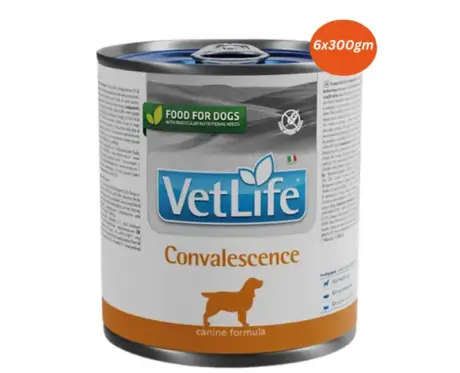 Farmina Vet Life Convalescence Dog Wet Food 300gm PetMedicine.co