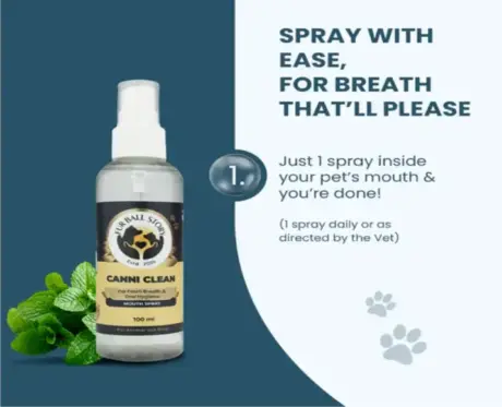 Canni Clean oral hygiene spray for dogs and cats – PetMedicine.co