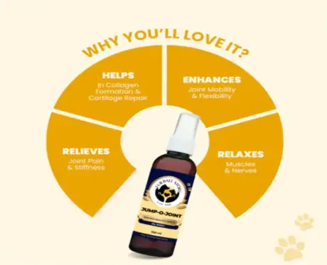 Herbal Joint Care Oil for Dogs & Cats 100ml – PetMedicine.co