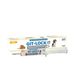 Loonshot GIT Lock gut health supplement for dogs and cats PetMedicine.co