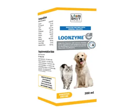 Loonshot Loonzyme Liquid 200ml for Dogs and Cats PetMedicine.co