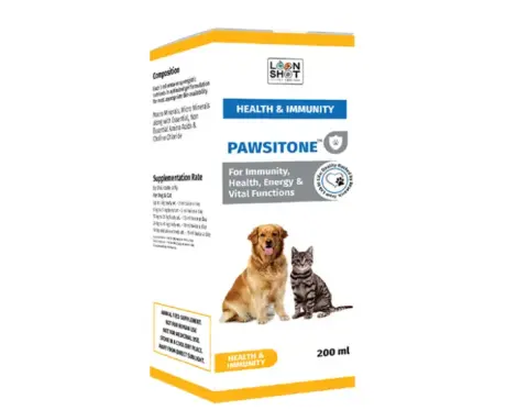 Loonshot Pawsitone Liquid for Dogs and Cats PetMedicine.co