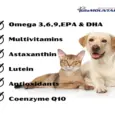 My Beau Vision & Optics formula for dogs and cats – PetMedicine.co