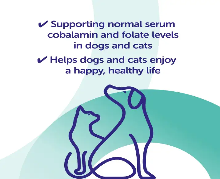 Protexin Cobalaplex Supplement for Pets Vitamin B12 Support – PetMedicine.co