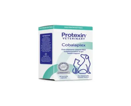 Protexin Cobalaplex Capsules for Dogs & Cats Nutritional Boost – PetMedicine.co