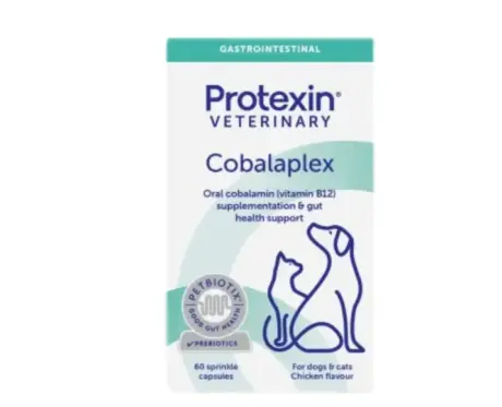 Protexin Cobalaplex 60 Capsules for Dogs and Cats – PetMedicine.co