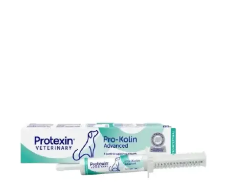 Protexin Pro-Kolin ADVANCED Paste for Dogs – PetMedicine.co