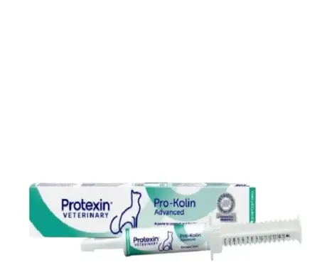 Protexin Pro Kolin Cat ADVANCED Paste 15ml digestive support – PetMedicine.co