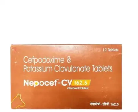 Ttk Nepocef CV 162.5 MG Tablet for Dogs and Cats PetMedicine.co