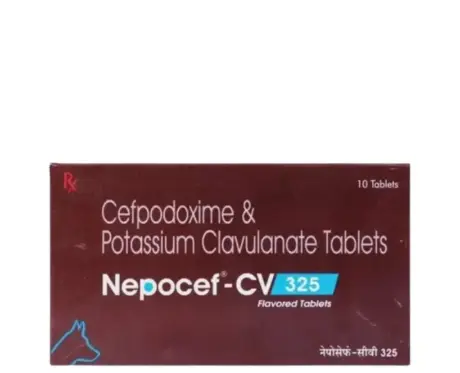 Ttk Nepocef CV 325 MG Tablet for Dogs and Cats PetMedicine.co