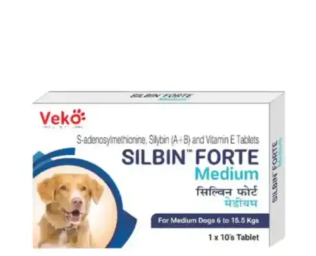Veko Silbin Forte joint supplement tablets for medium dogs PetMedicine.co