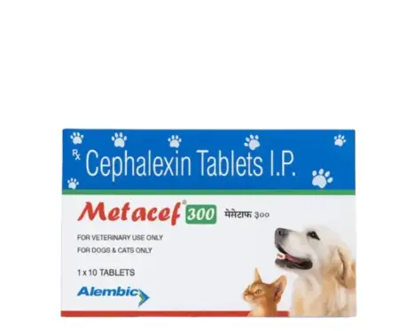 Alembic Metacef 300 MG cephalexin tablets for dogs and cats PetMedicine.co