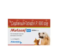 Alembic Metacef 600 MG cephalexin tablets for dogs and cats PetMedicine.co