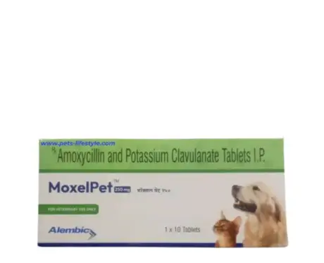 Alembic MoxelPet 250 MG antibiotic tablets for dogs and cats PetMedicine.co