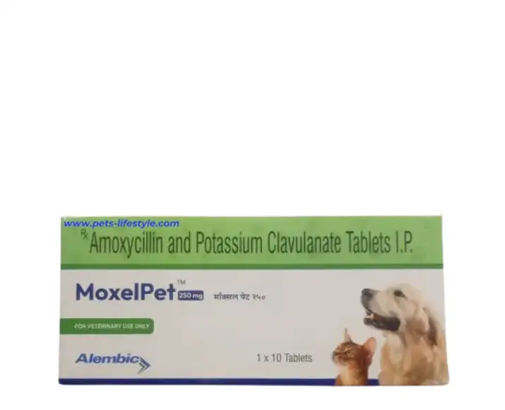 Alembic MoxelPet 250 MG antibiotic tablets for dogs and cats PetMedicine.co