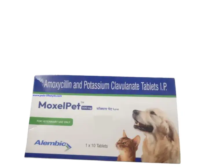 Alembic MoxelPet 500 MG antibiotic tablets for dogs and cats PetMedicine.co
