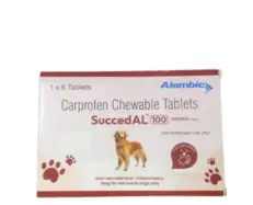 Alembic SuccedAL 100 MG (Carprofen) Tablets for Dogs, 6 Tablets atPetmedicine.co
