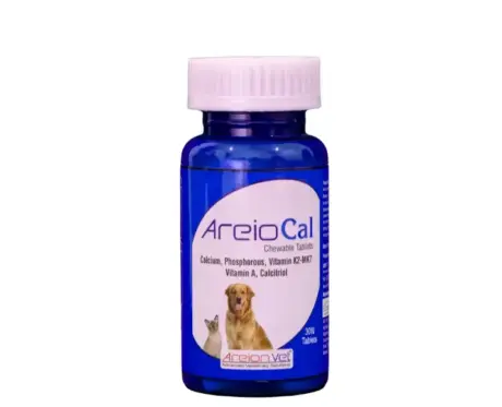 Areion Vet AreioCal Calcium Tablets for Dogs and Cats PetMedicine.co
