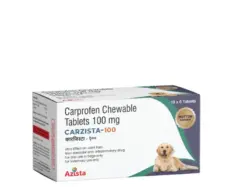 Azista Carzista 100 MG carprofen chewable tablets for dogs PetMedicine.co