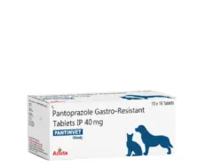 Azista Pantin Vet 40 MG pantoprazole tablets for dogs and cats PetMedicine.co
