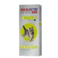 Bravecto Cat 112 spot on flea tick protection PetMedicine.co