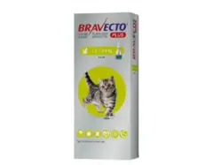 Bravecto Cat 112 spot on flea tick protection PetMedicine.co