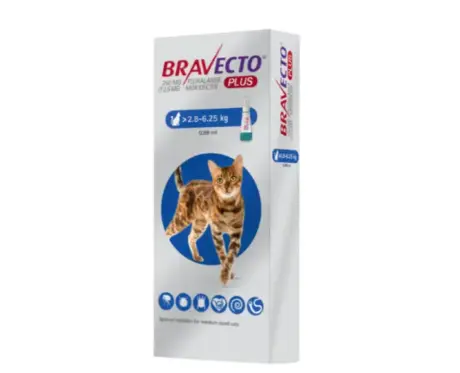 Bravecto Cat 250 MG Spot On Solution for Medium Cats PetMedicine.co