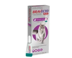 Bravecto Cat 500 MG spot on solution for large cats PetMedicine.co