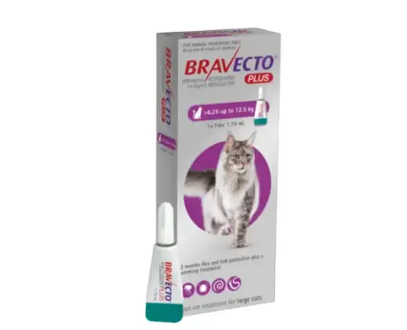 Bravecto Cat 500 MG spot on solution for large cats PetMedicine.co