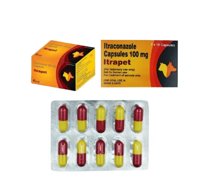 Corise Itrapet Tablets for dogs and cats PetMedicine.co