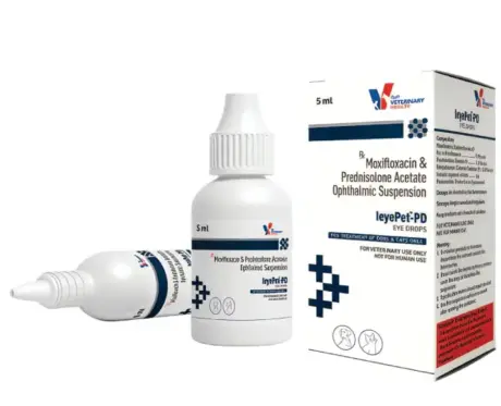 Vet Recommended Drools LeyePet PD Eye Drops 5ml PetMedicine.co
