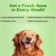 Dog and Cat Moisturizing Shampoo Natural Remedies Auraglow PetMedicine.co