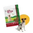 Natural Remedies Derma Bites Dog Treats for Skin Care PetMedicine.co