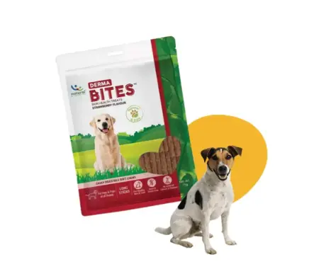 Natural Remedies Derma Bites Dog Treats for Skin Care PetMedicine.co