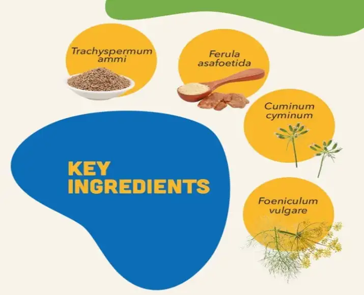 Natural Remedies Digestive dog chew supplements PetMedicine.co