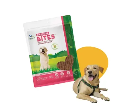 Natural Remedies Digestive Bites Chew Treats for Dogs PetMedicine.co