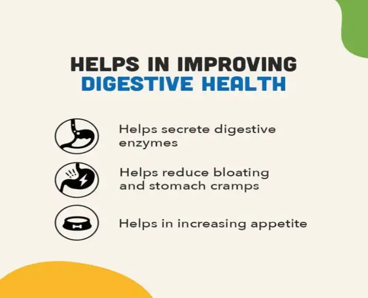 Digestive Bites chew treats for dog gut health PetMedicine.co