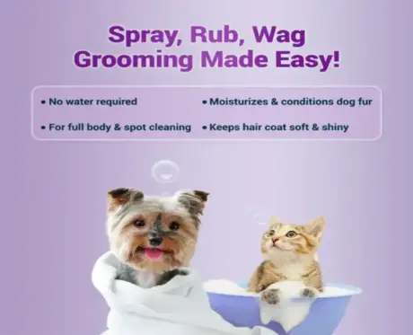 Aloe vera pet cleanser Natural Remedies Fresh Me Up Bloom PetMedicine.co