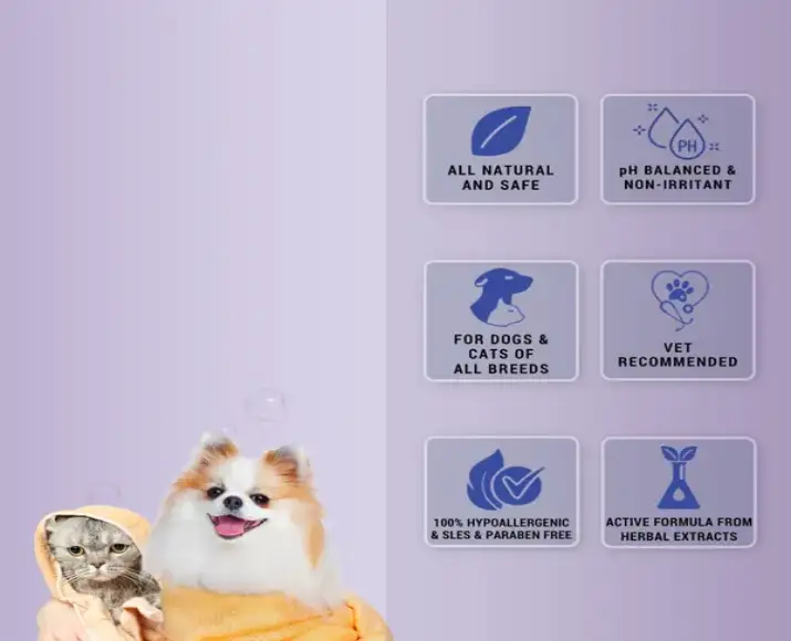 Aloe vera pet cleanser Natural Remedies Fresh Me Up Bloom PetMedicine.co