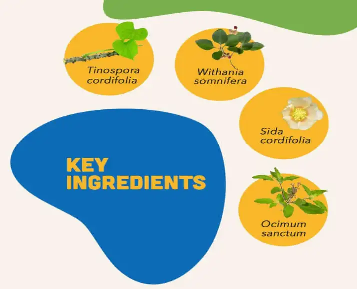 Junior Bites puppy supplement chews PetMedicine.co