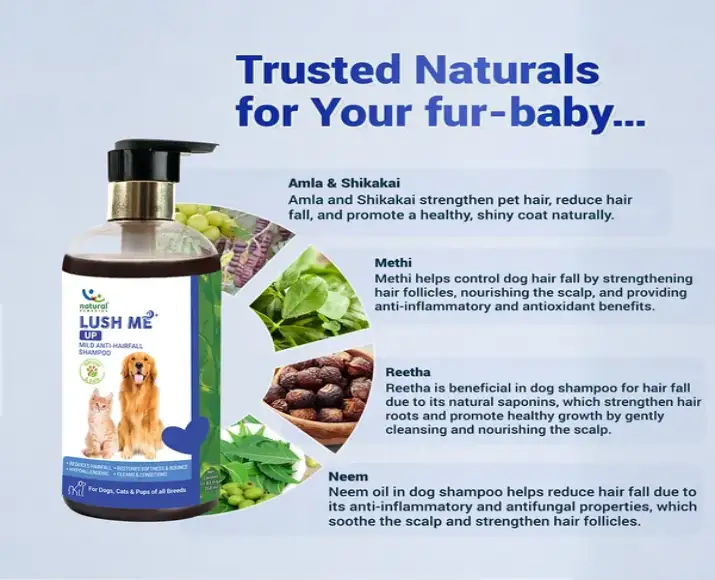 Natural Remedies Lush Me Up Shampoo for Pets PetMedicine.co