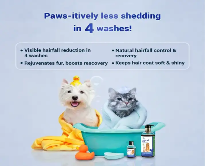 Natural Remedies Lush Me Up Shampoo for Pets PetMedicine.co