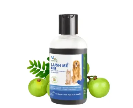 Natural Remedies Lush Me Up Anti Hairfall Shampoo for Dogs and Cats PetMedicine.co