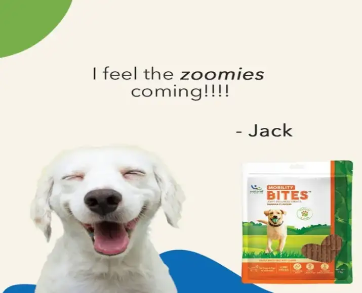 Natural Remedies Mobility Soft Chews for Dogs PetMedicine.co