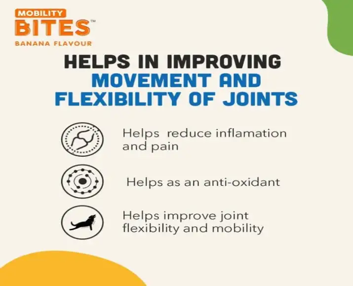 Dog Joint Support Chews Natural Remedies Mobility PetMedicine.co